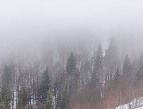 Ropa laboral de alta visibilidad para invierno: ¿Qué podemos ofrecerle?