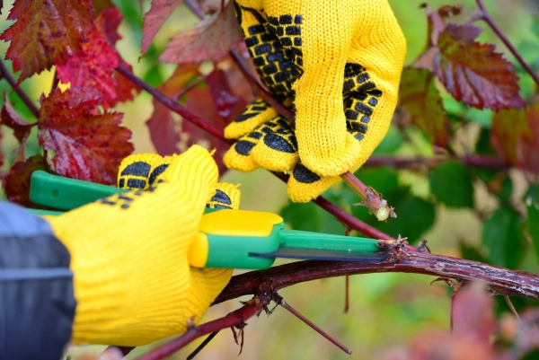 EPI 1 types of PPE in Spain