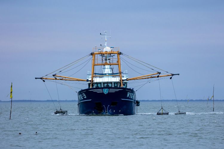 Ropa de agua para marineros Pesca