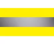 VizLite 305