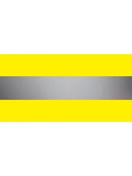 VizLite 305